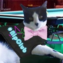 Boss Cat: @kingtuttifruiti at #NipClub